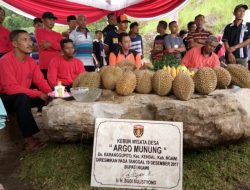 Angkat Pesona Desa Wisata, ASIDEWI Ngawi Gelar Festival Durian